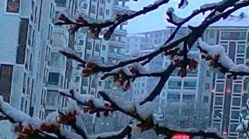 Malatya&rsquo;da zirai don uyarısı