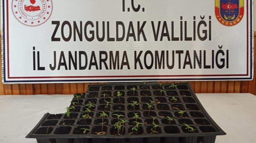 Zonguldak’ta uyuşturucu operasyonu: 1 gözaltı