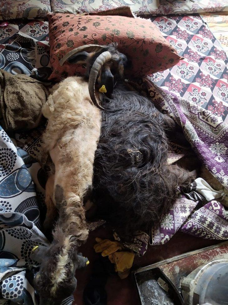 Özalp ilçesinde fırtına G2