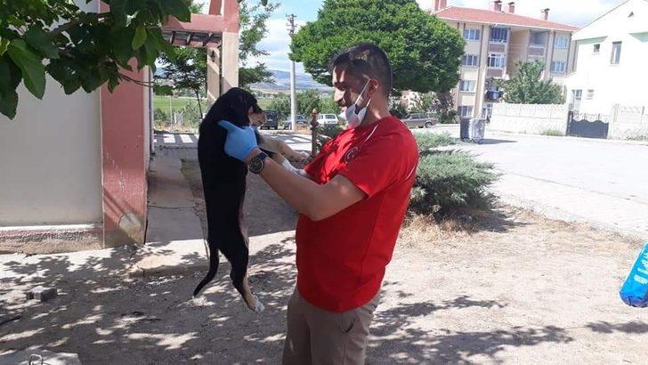 Bayramda sokak hayvanları unutulmadı G2