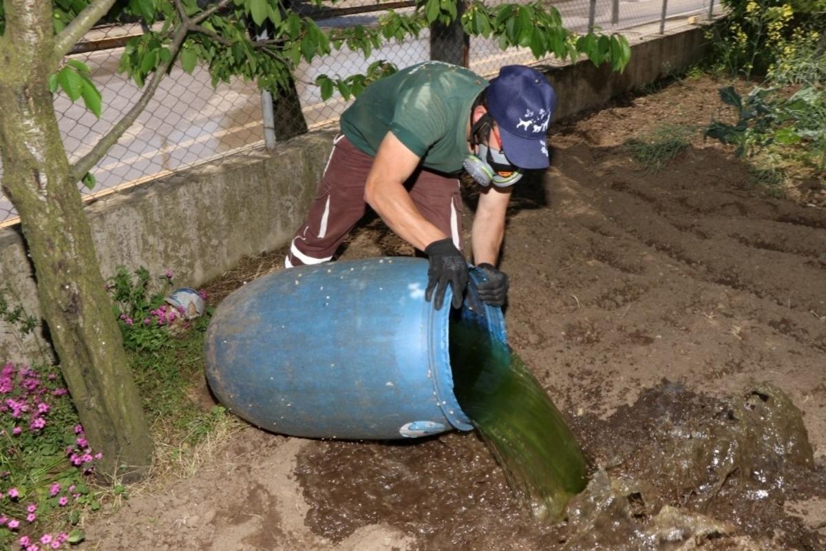 Sivrisineksiz bir yaz i&ccedil;in m&uuml;cadele s&uuml;r&uuml;yor