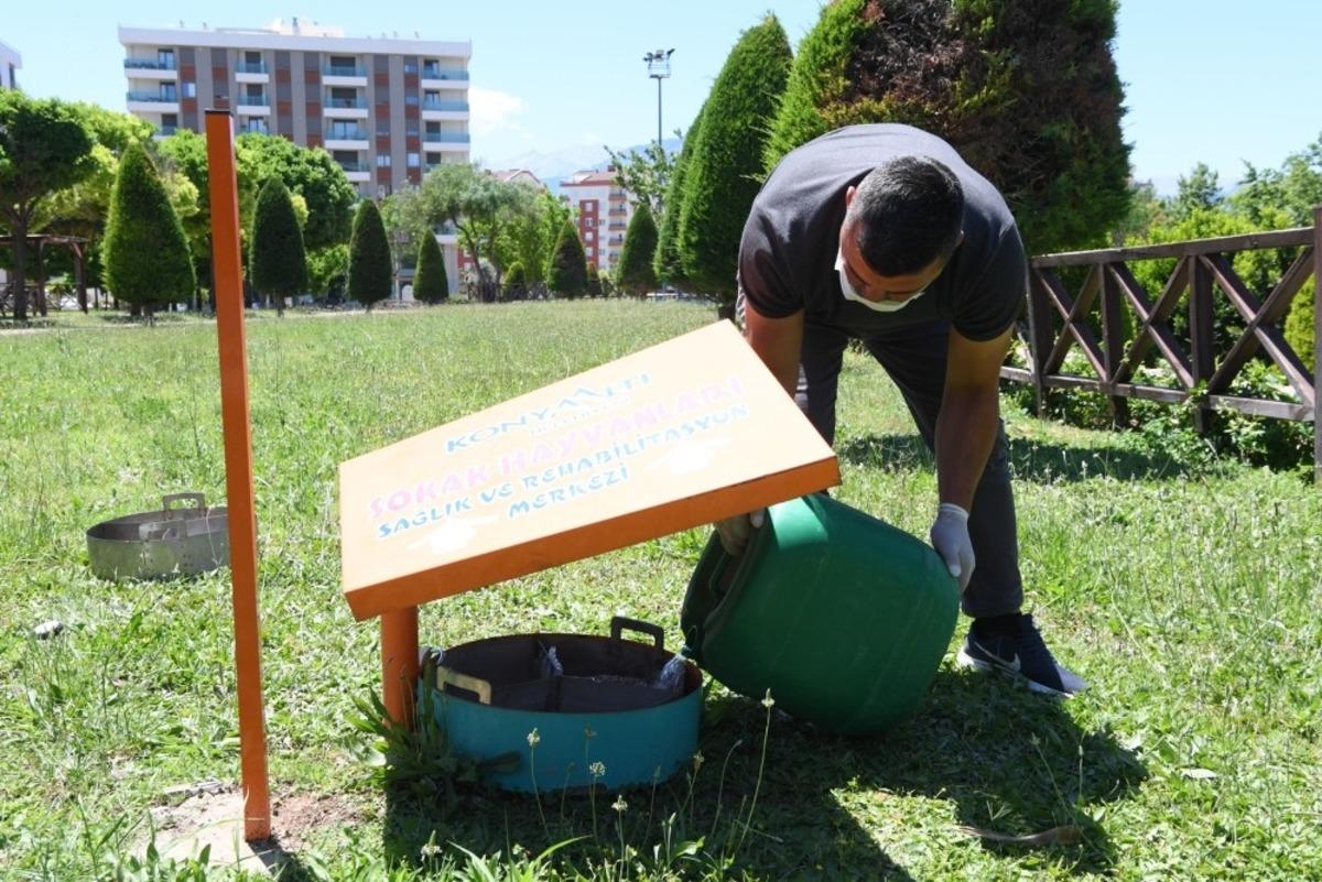 Konyaaltı, sokak hayvanlarına 5 ton mama ulaştırdı