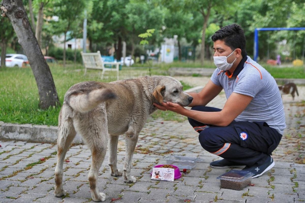 Sokağa &ccedil;ıkma kısıtlamasında sokak hayvanları unutulmadı