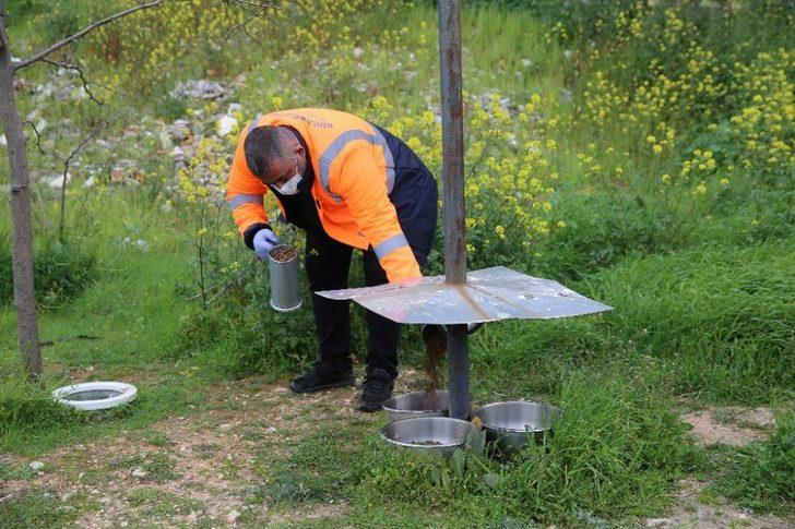 Buca’da sokak hayvanlarına bayramda mama desteği G4