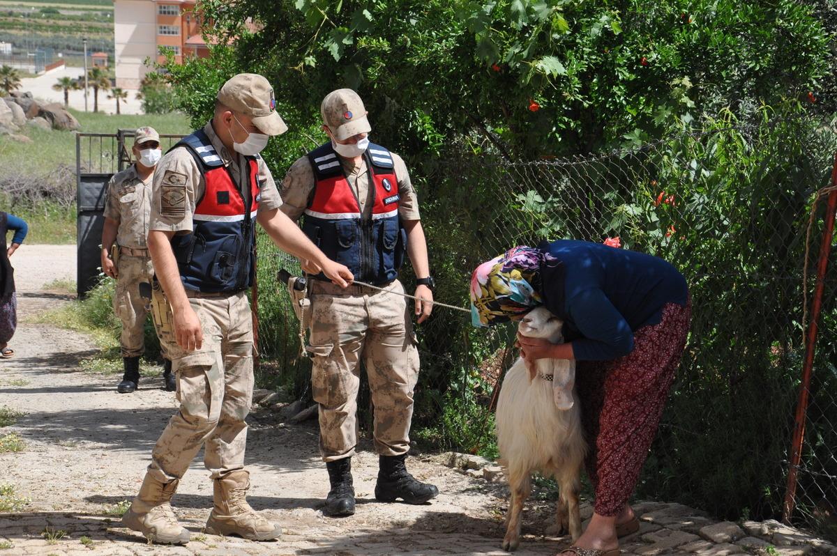 &Ccedil;alınan ke&ccedil;isi bulundu, boynuna sarılarak &ouml;pt&uuml;