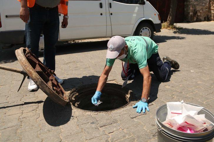 Efeler’de larva ilaçlaması sürüyor G2