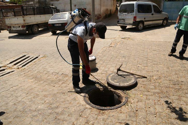 Efeler’de larva ilaçlaması sürüyor G3