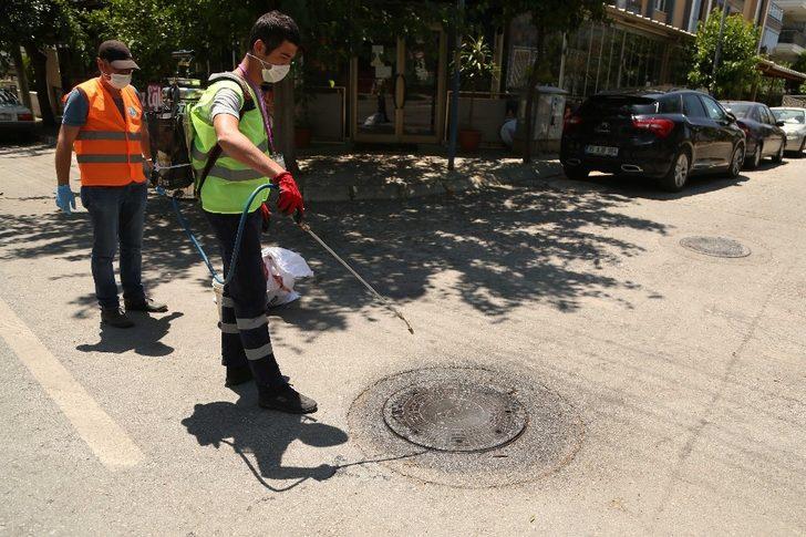 Efeler’de larva ilaçlaması sürüyor G4