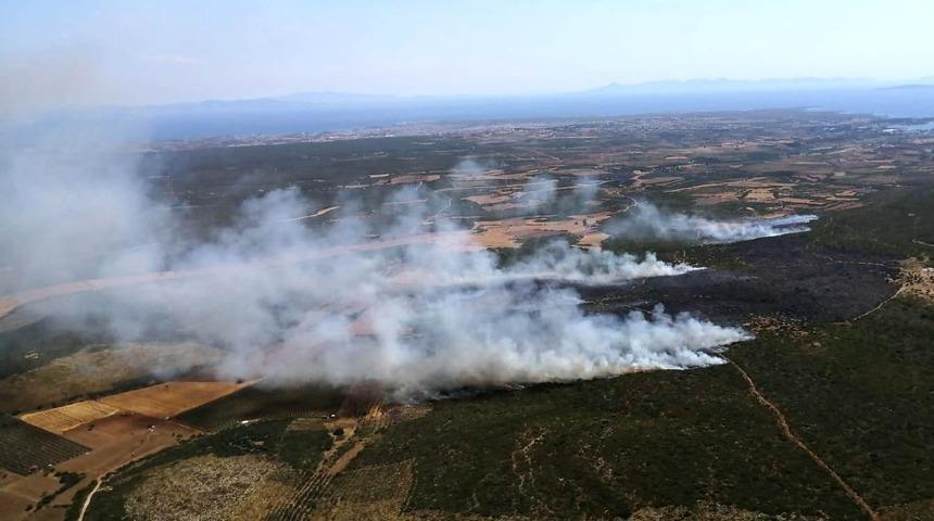 Aydın&rsquo;da makilik alanda yangın