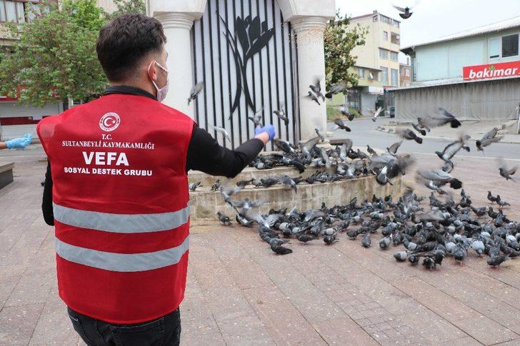 Sultanbeyli’de 50 noktada sokak hayvanlarının ihtiyaçları karşılanıyor G2