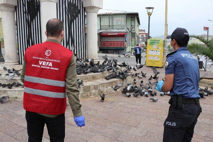 Sultanbeyli’de 50 noktada sokak hayvanlarının ihtiyaçları karşılanıyor G3