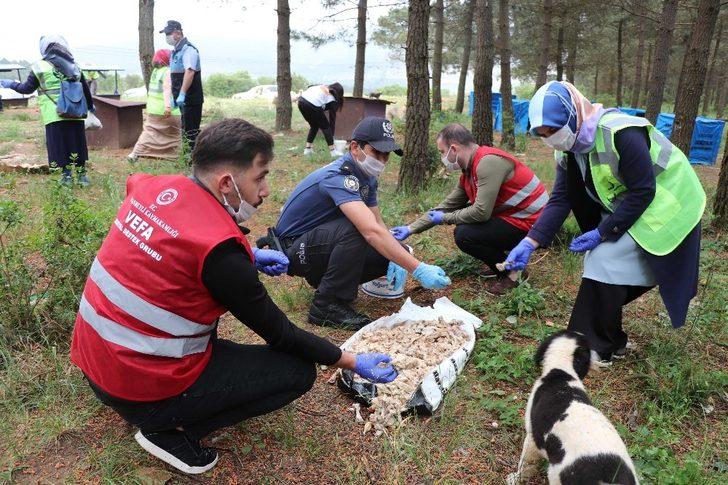 Sultanbeyli’de 50 noktada sokak hayvanlarının ihtiyaçları karşılanıyor G4