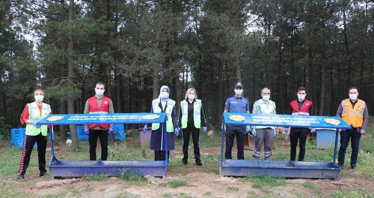 Sultanbeyli’de 50 noktada sokak hayvanlarının ihtiyaçları karşılanıyor G5