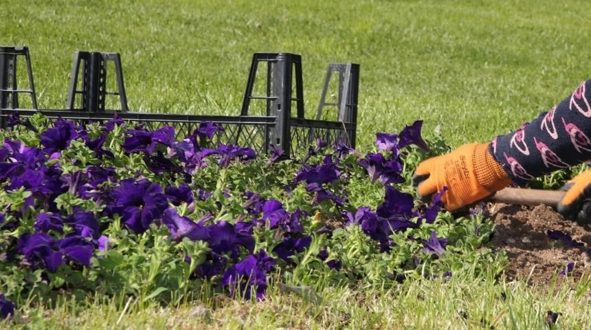 G&ouml;lbaşı park ve bah&ccedil;elerinde &ccedil;alışmalar s&uuml;r&uuml;yor