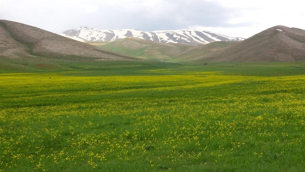 Sarıya b&uuml;r&uuml;nen yaylalar hayran bıraktı