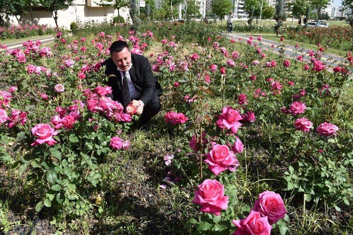 Diyarbakır’da 12 dönümlük alanda 25 gül çeşidi yetiştiriliyor G2