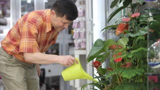 Hem doktor hem çiçekçi