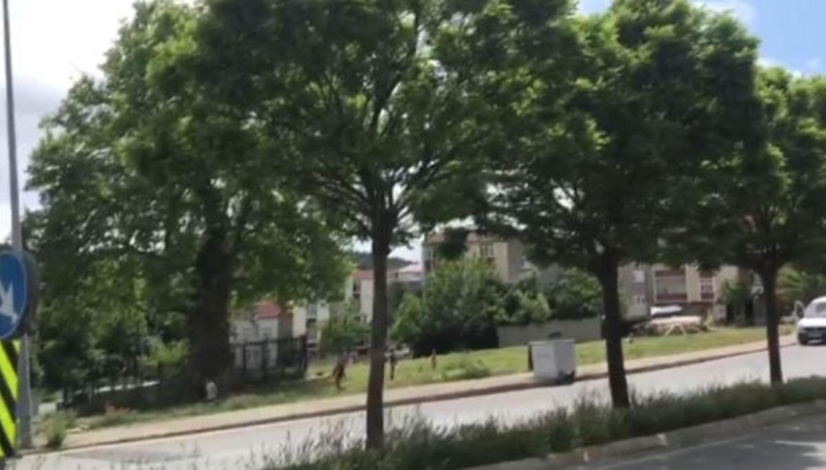 Top oynayan &ccedil;ocuklar polisi g&ouml;r&uuml;nce b&ouml;yle ka&ccedil;tı