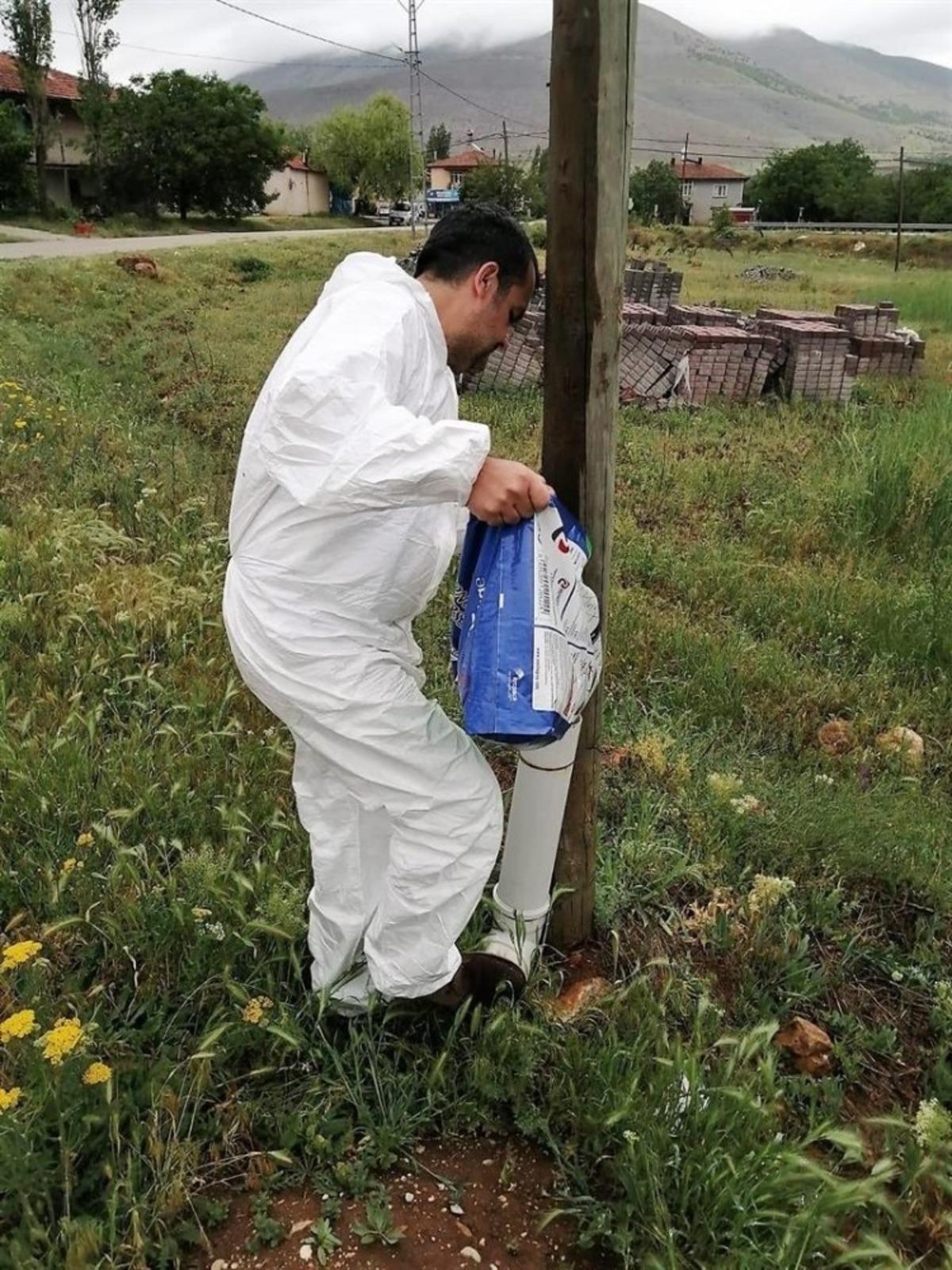 Bayramda sokak hayvanları unutulmadı