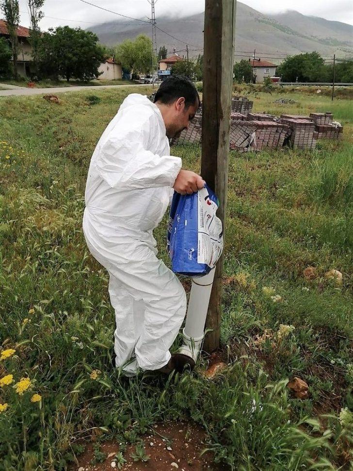Bayramda sokak hayvanları unutulmadı G1