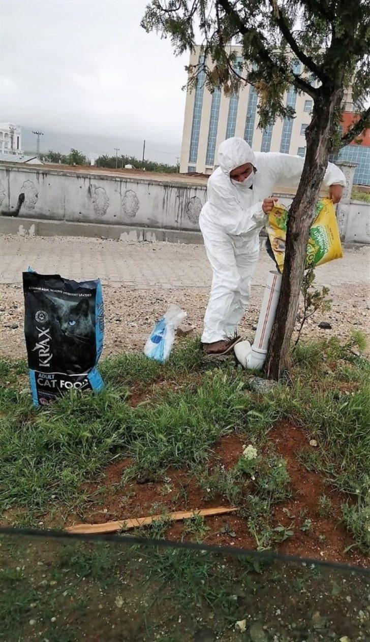 Bayramda sokak hayvanları unutulmadı G2