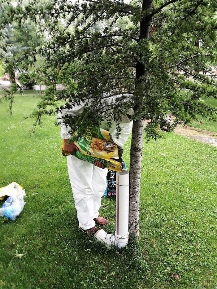 Bayramda sokak hayvanları unutulmadı G3