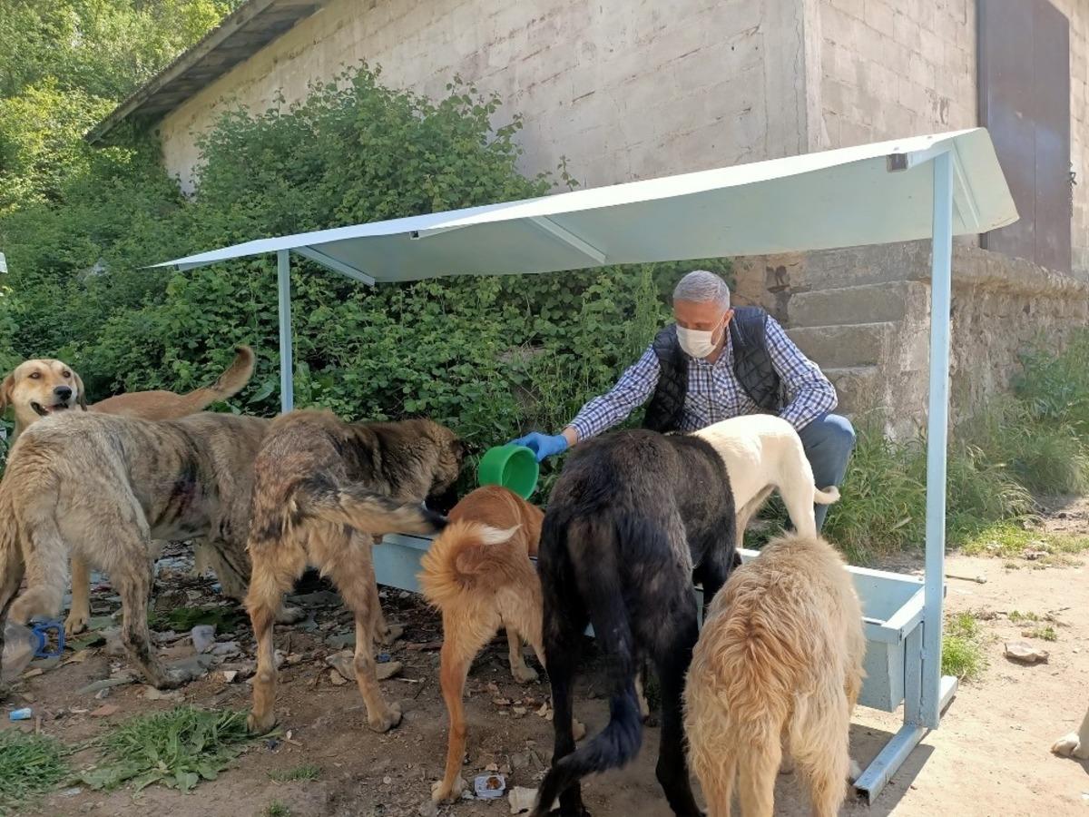 Ramazan Bayramı&rsquo;nda sokak hayvanları unutulmadı