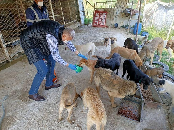 Ramazan Bayramı’nda sokak hayvanları unutulmadı G2