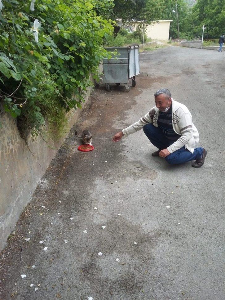 Pütürge’de sokak hayvanları unutulmadı G2