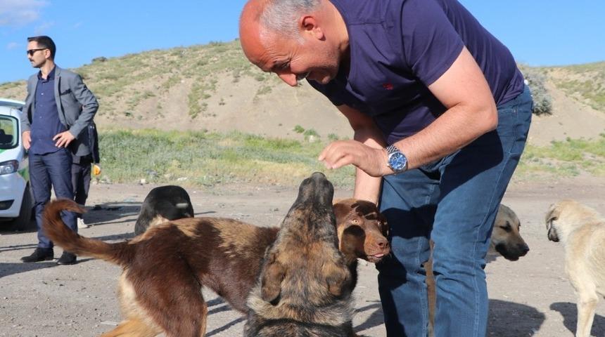 Başkan Türkyılmaz, sokak hayvanlarını besledi