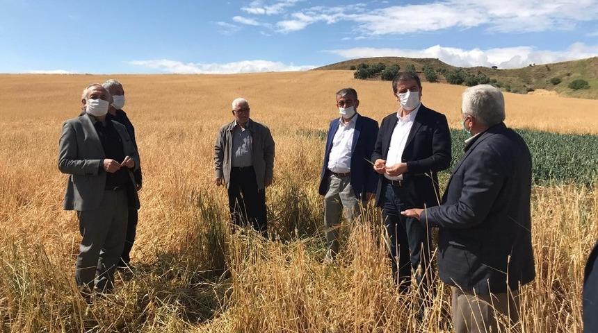 Milletvekili Tutdere: &ldquo;Dolu yağan yerler afet b&ouml;lgesi ilan edilsin&rdquo;