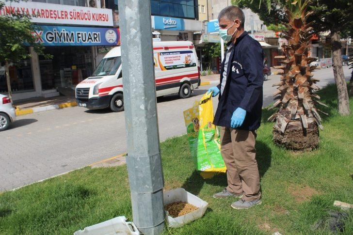 Kahta Belediyesi sokak hayvanlarını unutmadı G3
