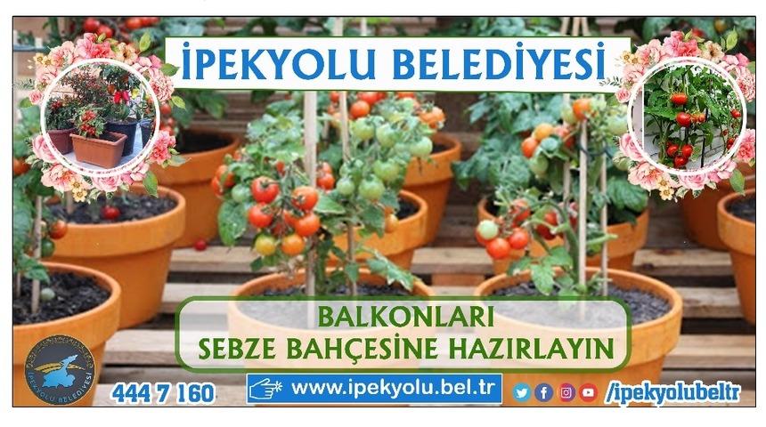 İpekyolu’nda balkonda tarım dönemi