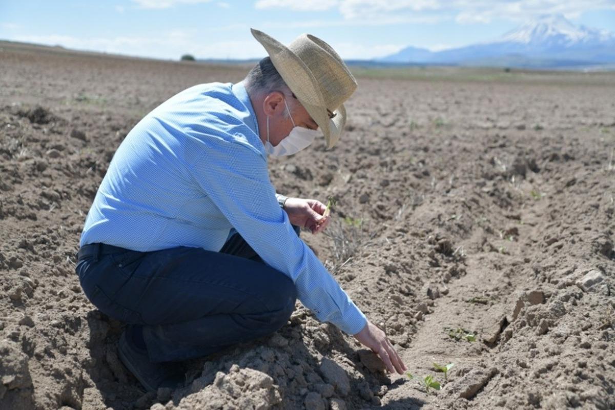 Zirai don TARSİM&rsquo;in &ouml;nemini ortaya &ccedil;ıkardı