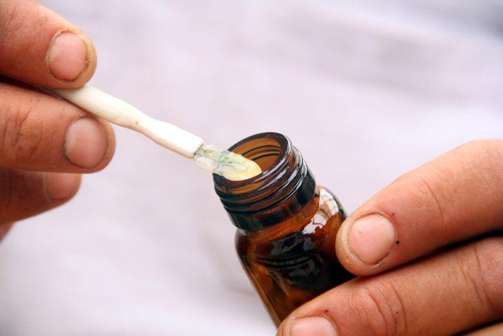 Arı sütü faydaları saymakla bitmiyor: Gramı 8, kilosu 8 bin TL G2