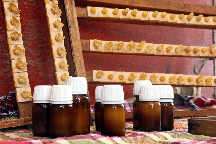 Arı sütü faydaları saymakla bitmiyor: Gramı 8, kilosu 8 bin TL G3