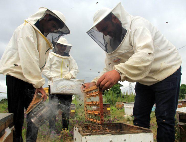 Arı sütü faydaları saymakla bitmiyor: Gramı 8, kilosu 8 bin TL G4