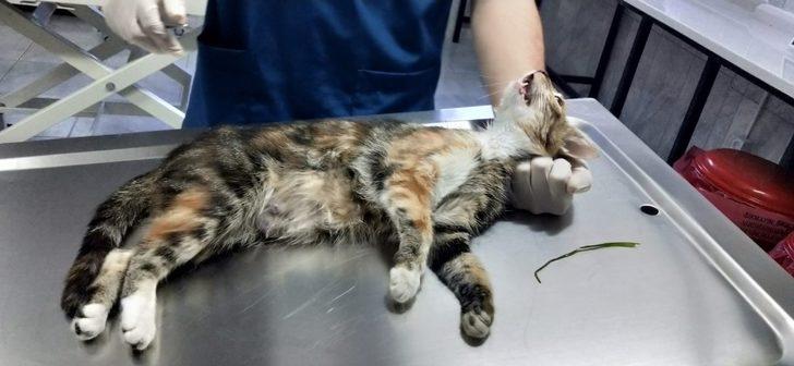 Sincan Belediyesi ekipleri bayram boyunca hizmet için sahadaydı G3