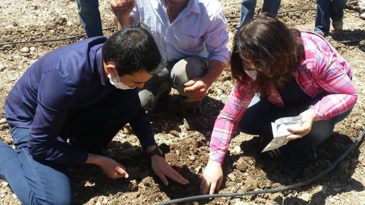 İbradı kekik ile kalkınacak