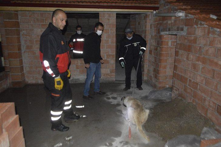 Çatıda mahsur kalan köpek itfaiye ekiplerince kurtarıldı G3