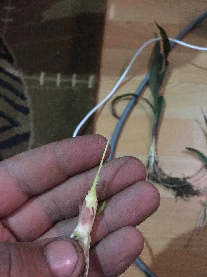 Öğretim üyesi üreticileri uyardı G1