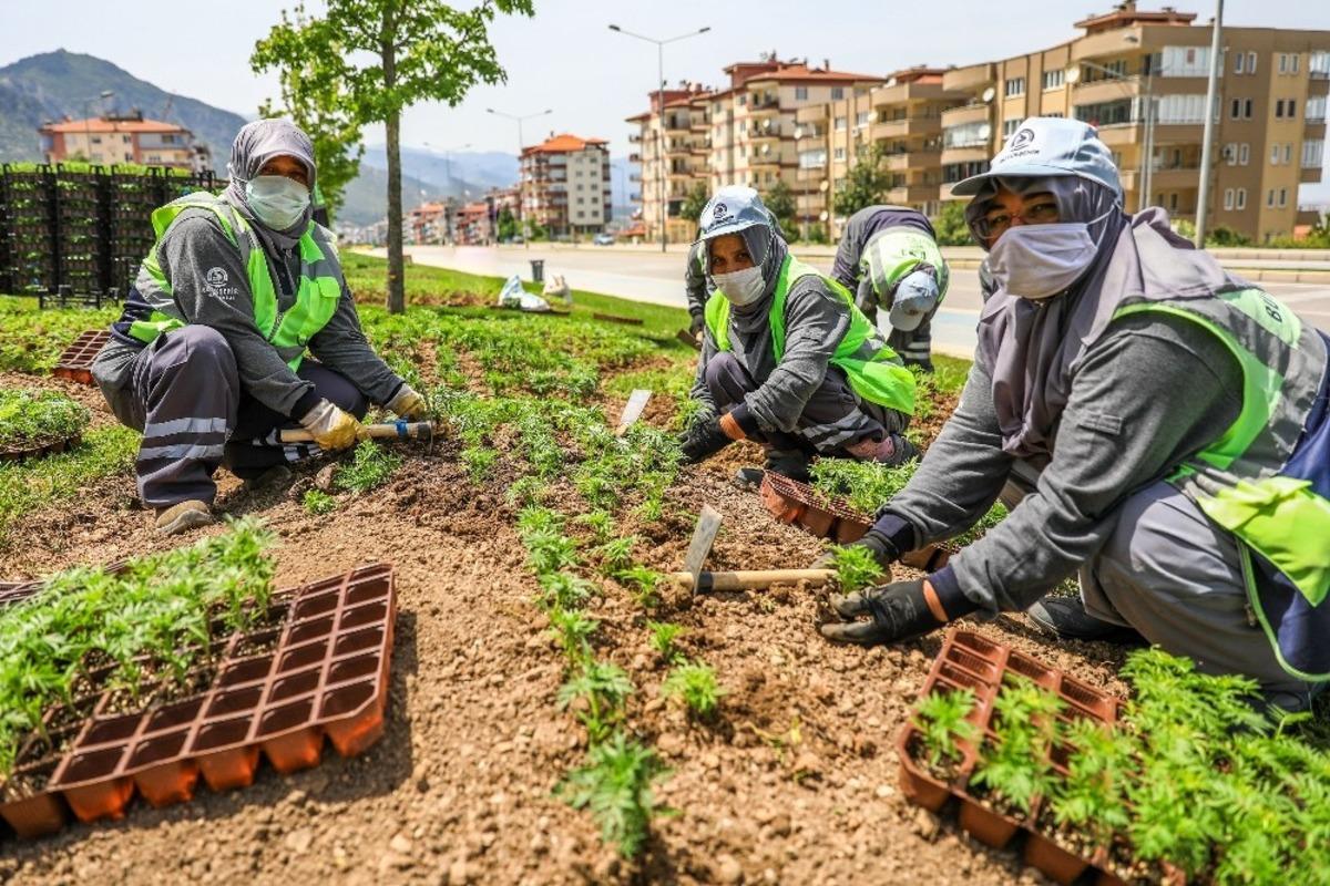 Denizli yollarında &ccedil;i&ccedil;ekler a&ccedil;acak