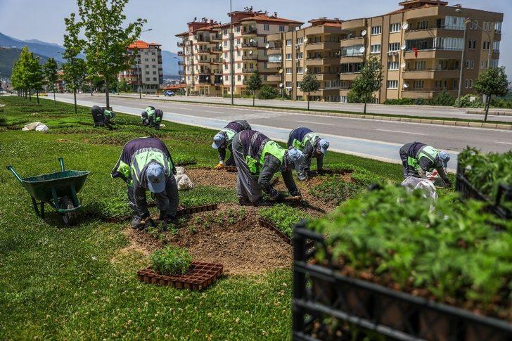 Denizli yollarında çiçekler açacak G2