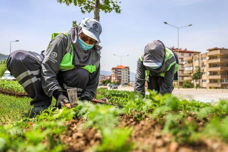 Denizli yollarında çiçekler açacak G4