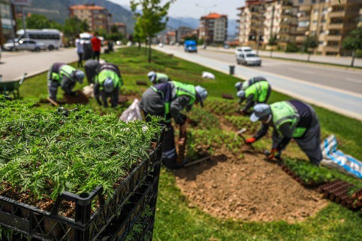 Denizli yollarında çiçekler açacak G5