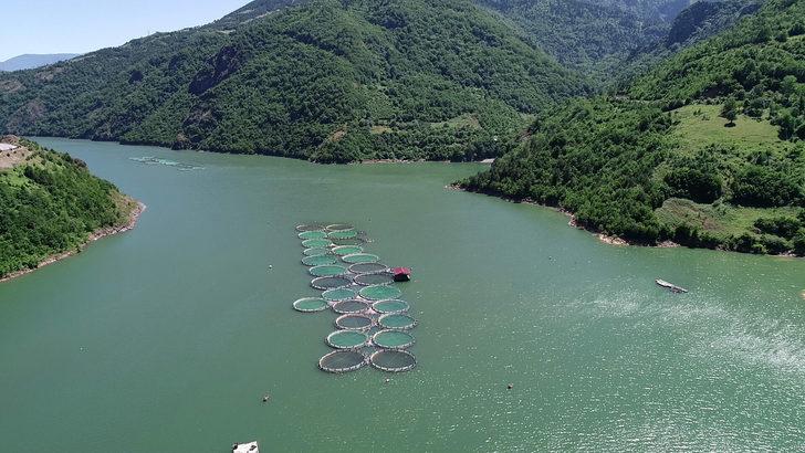 Koronavirüsten sonra artan somon siparişlerine yetişemiyorlar G1