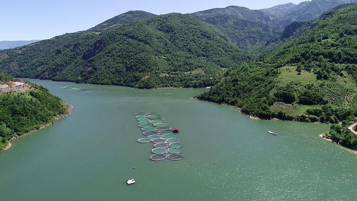 Koronavirüsten sonra artan somon siparişlerine yetişemiyorlar G3