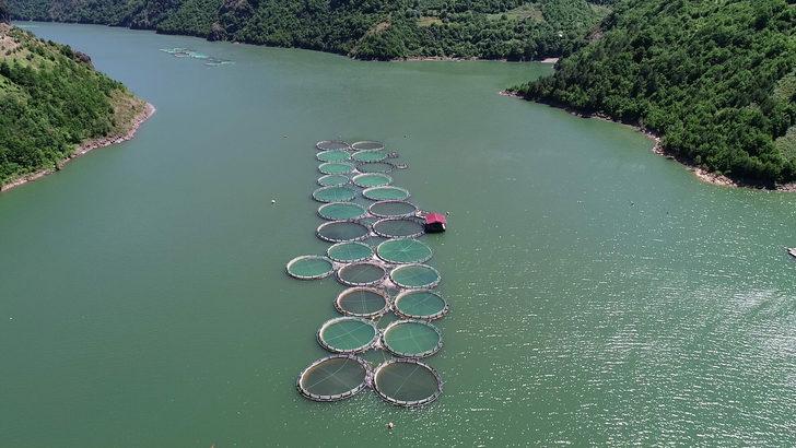 Koronavirüsten sonra artan somon siparişlerine yetişemiyorlar G4