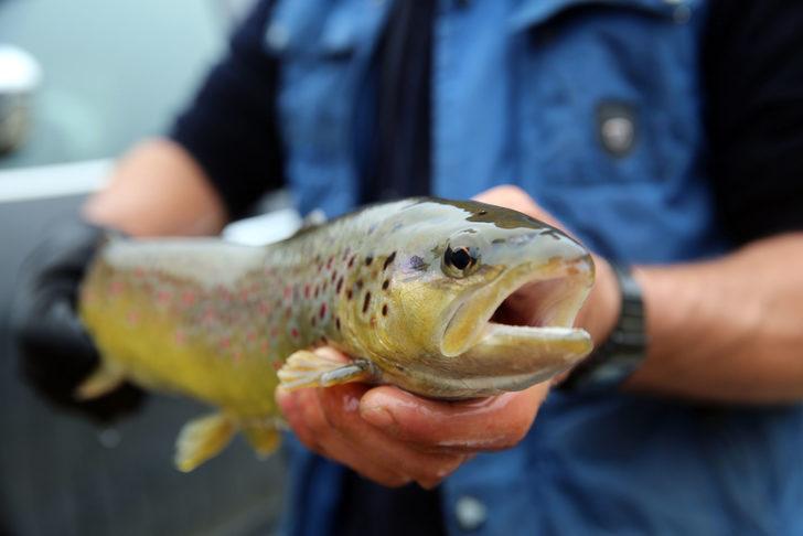 Koronavirüsten sonra artan somon siparişlerine yetişemiyorlar G5