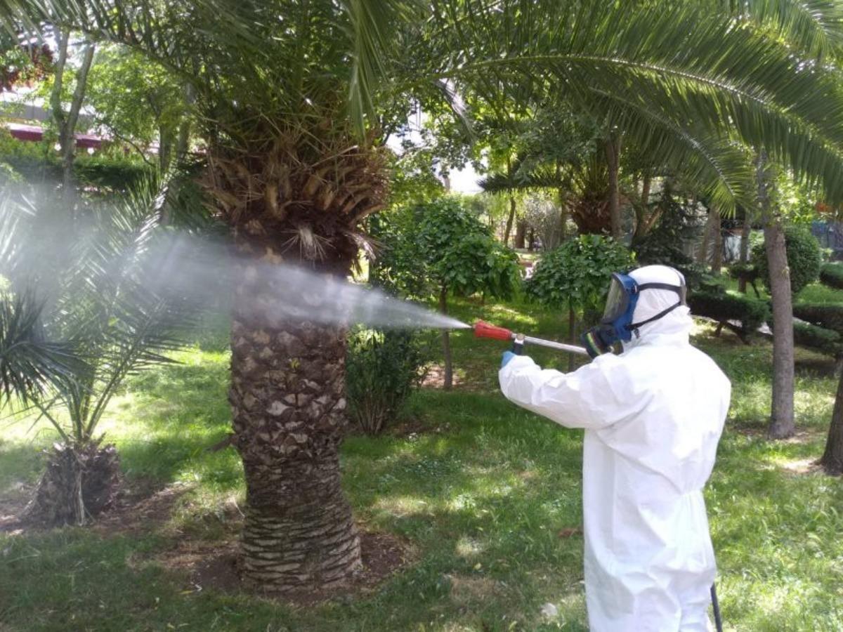 Bayrampaşa haşere ve sineklere karşı ila&ccedil;lanıyor